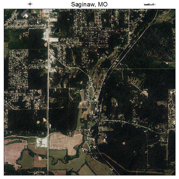 Saginaw, MO air photo map