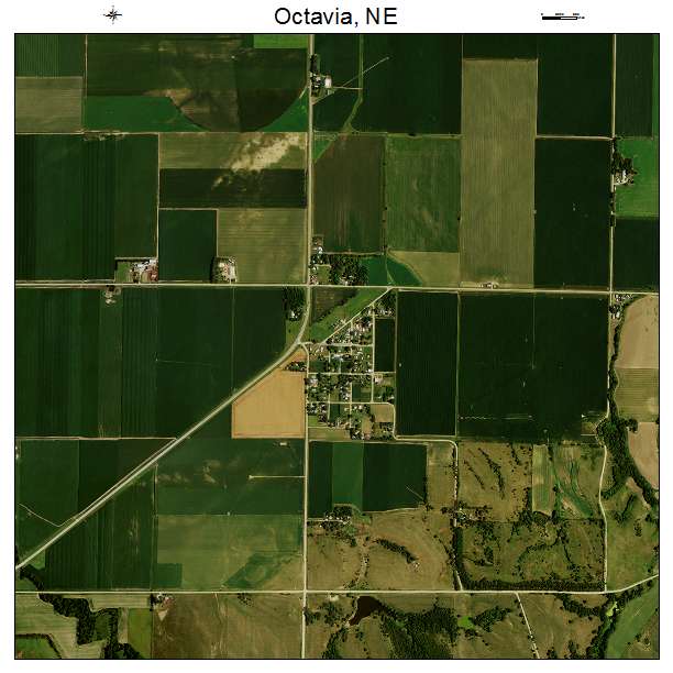 Octavia, NE air photo map