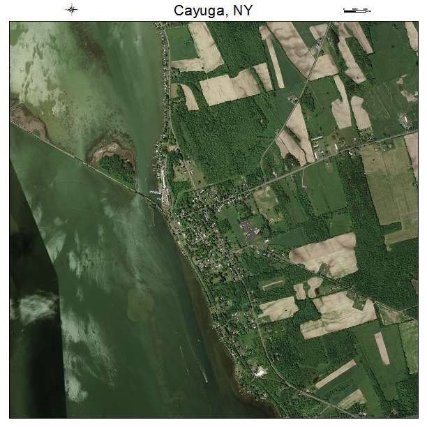 Cayuga, NY air photo map