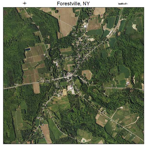 Forestville, NY air photo map