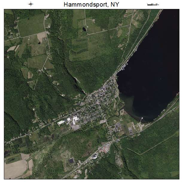 Aerial Photography Map of Hammondsport, NY New York