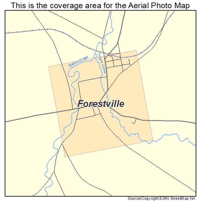 Forestville, NY location map 