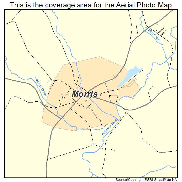 Morris, NY location map 