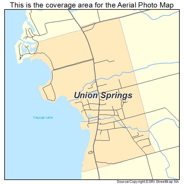 Union Springs, NY location map 