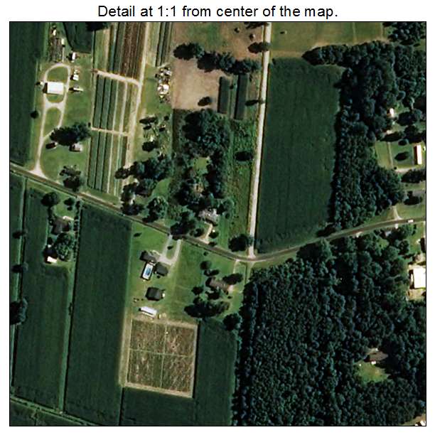 Castle Hayne, North Carolina aerial imagery detail