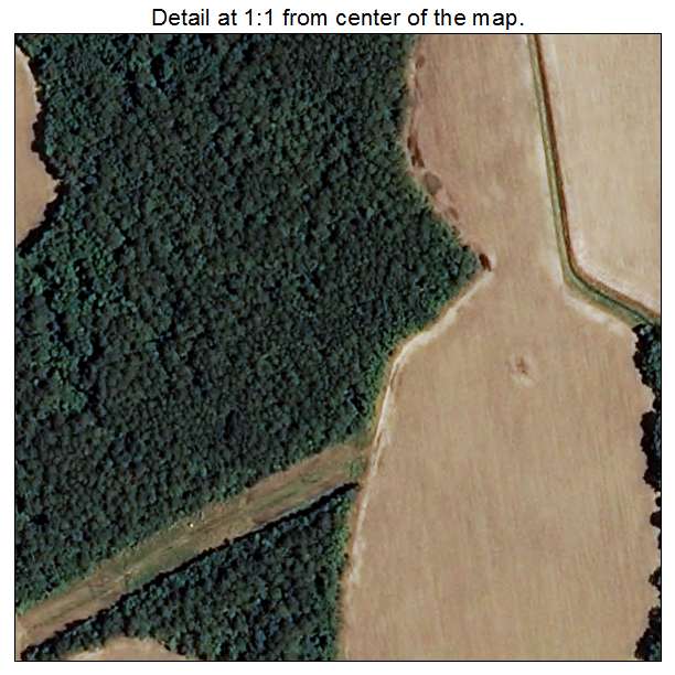 Dundarrach, North Carolina aerial imagery detail