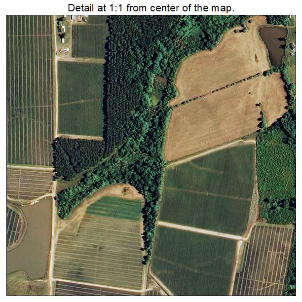 Faison, North Carolina aerial imagery detail
