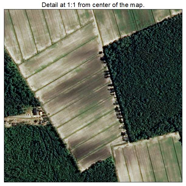 Mesic, North Carolina aerial imagery detail