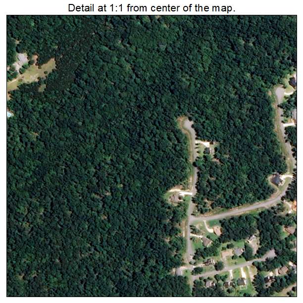Neuse Forest, North Carolina aerial imagery detail