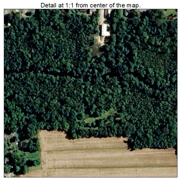 Pantego, North Carolina aerial imagery detail