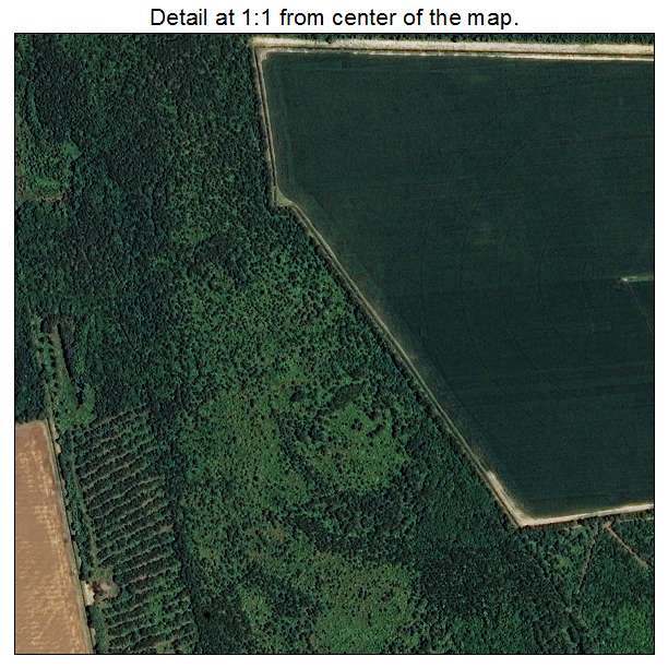 Raemon, North Carolina aerial imagery detail