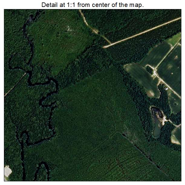 Windsor, North Carolina aerial imagery detail
