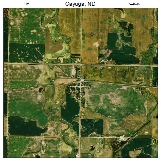 Cayuga, ND air photo map