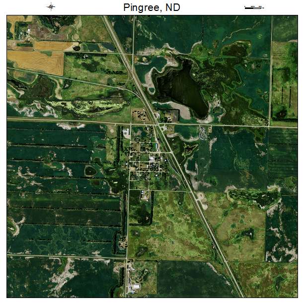 Pingree, ND air photo map