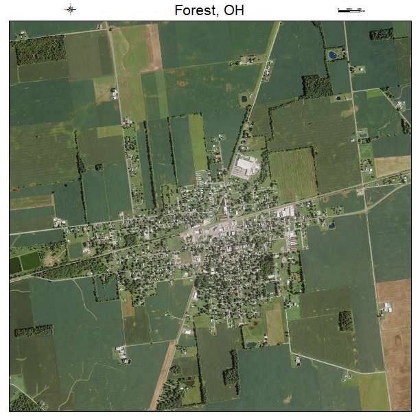 Forest, OH air photo map