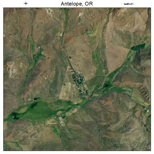 Antelope, OR air photo map