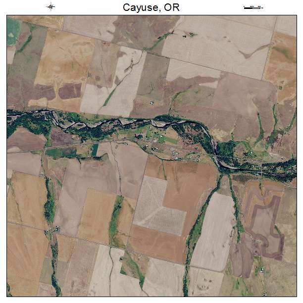 Cayuse, OR air photo map