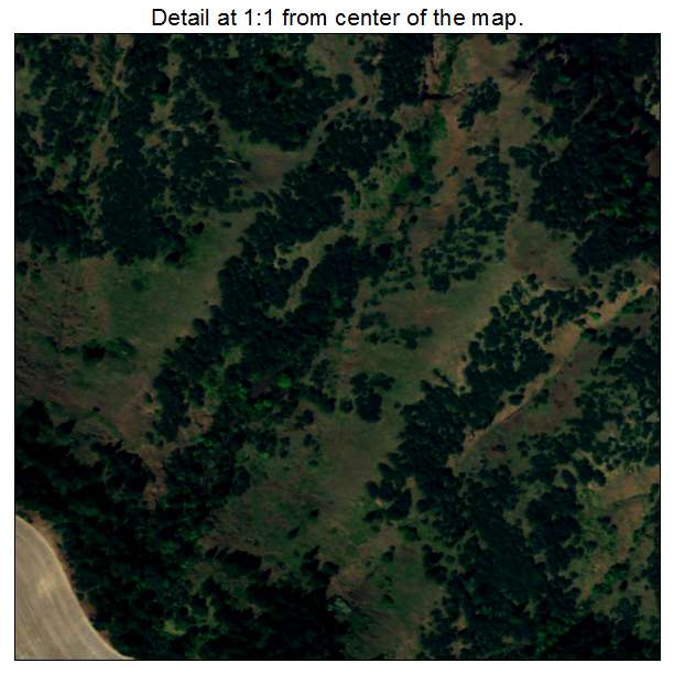 Rowena, Oregon aerial imagery detail