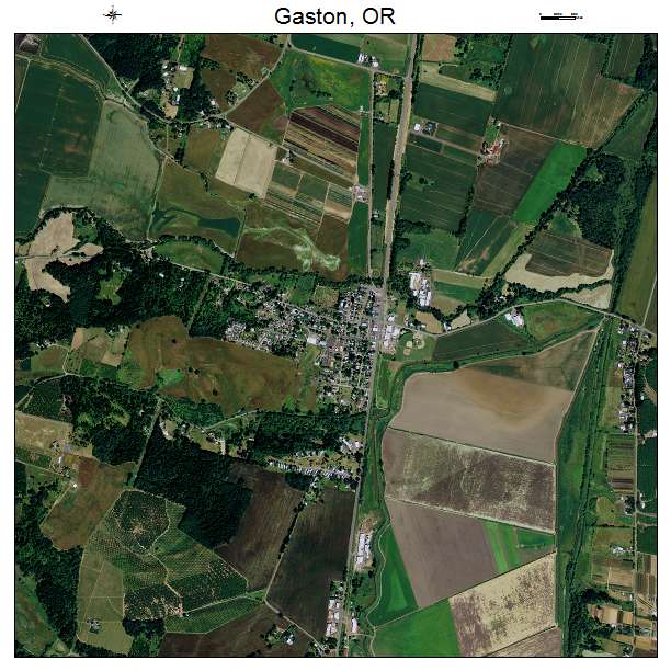 Gaston, OR air photo map