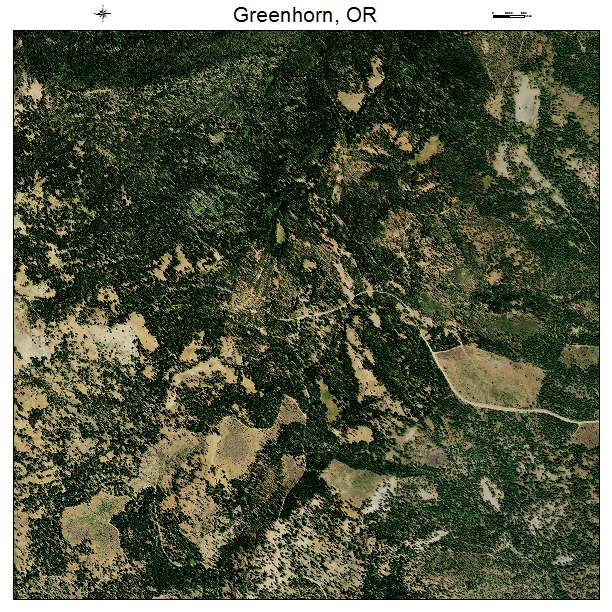 Greenhorn, OR air photo map