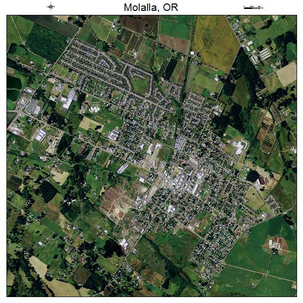 Molalla, OR air photo map