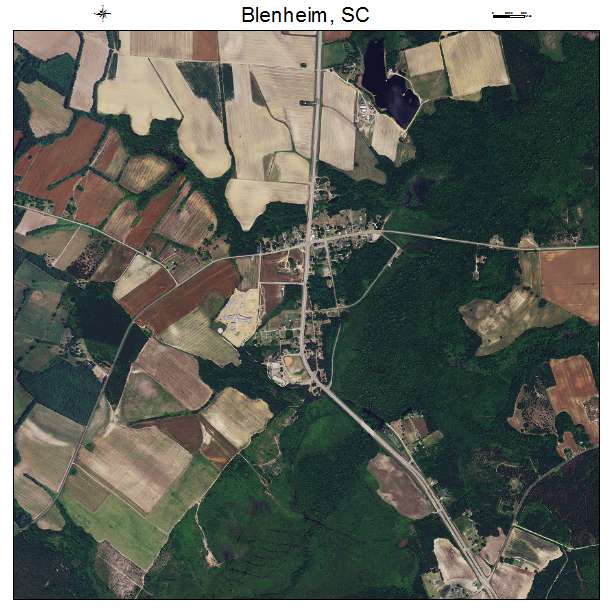 Blenheim, SC air photo map
