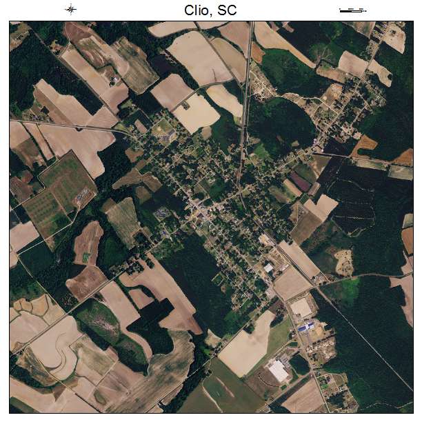 Clio, SC air photo map