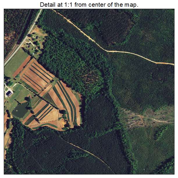 Bradley, South Carolina aerial imagery detail