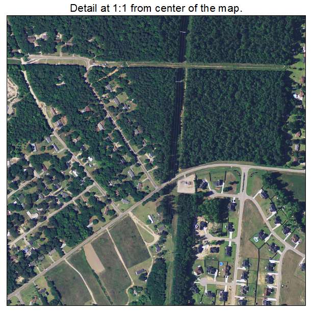 Cane Savannah, South Carolina aerial imagery detail
