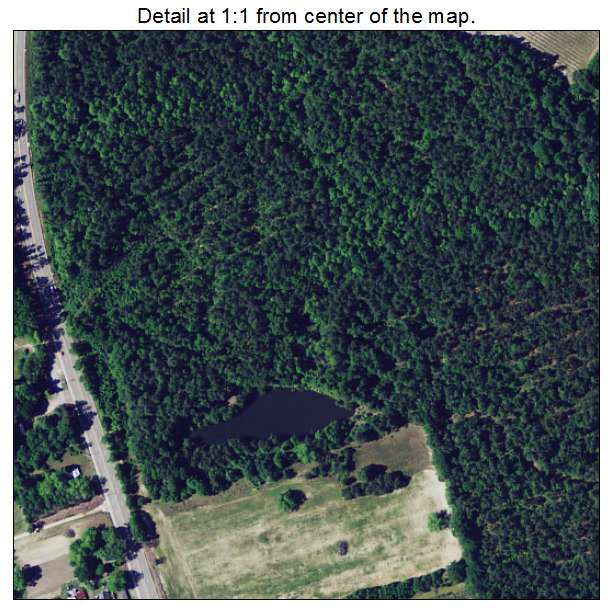 Neeses, South Carolina aerial imagery detail