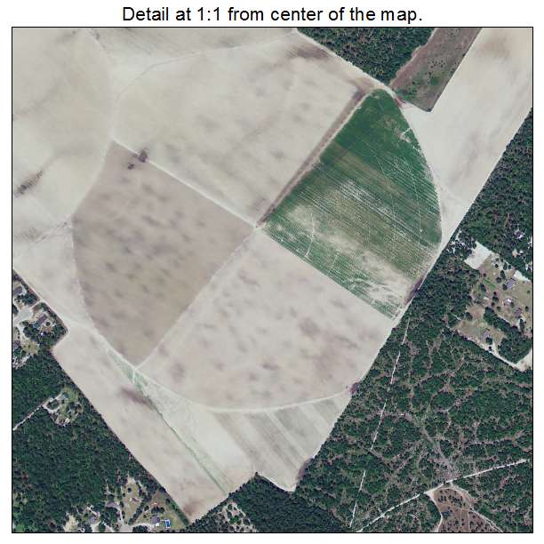 Pelion, South Carolina aerial imagery detail