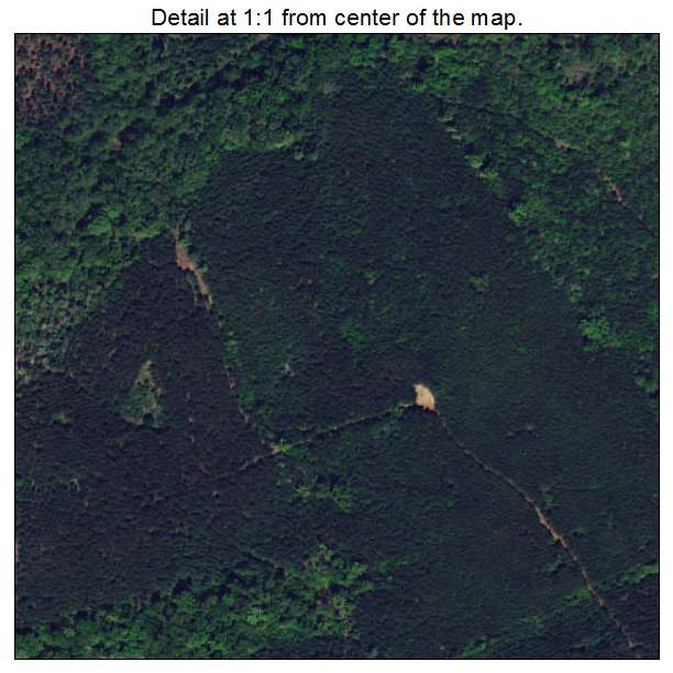 Princeton, South Carolina aerial imagery detail