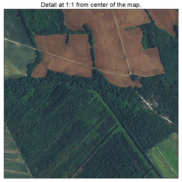 Shiloh, South Carolina aerial imagery detail