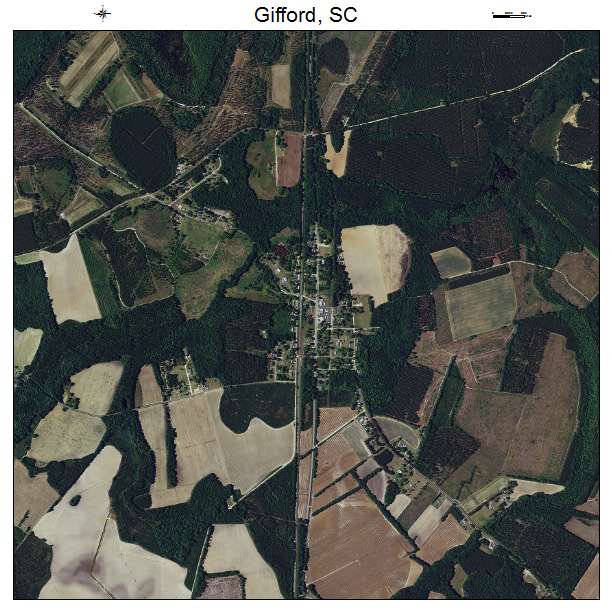 Gifford, SC air photo map