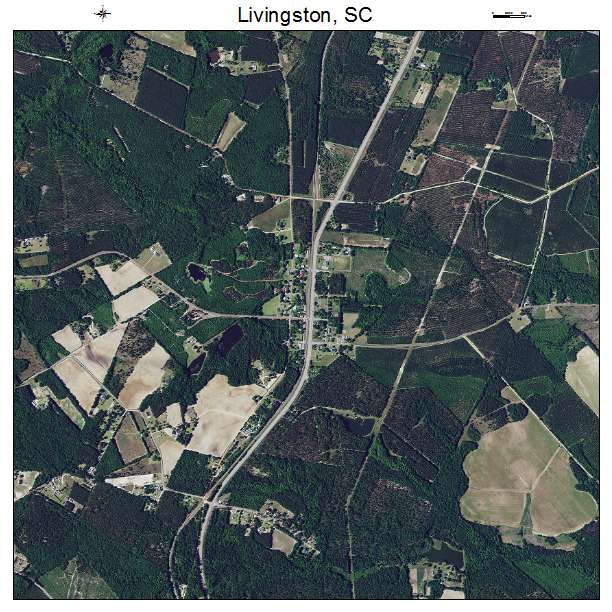 Livingston, SC air photo map