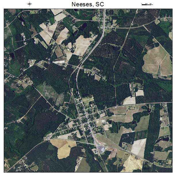 Neeses, SC air photo map