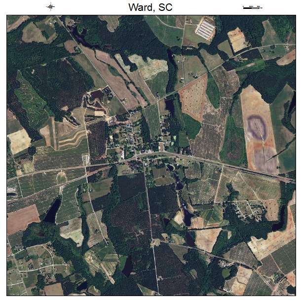 Ward, SC air photo map