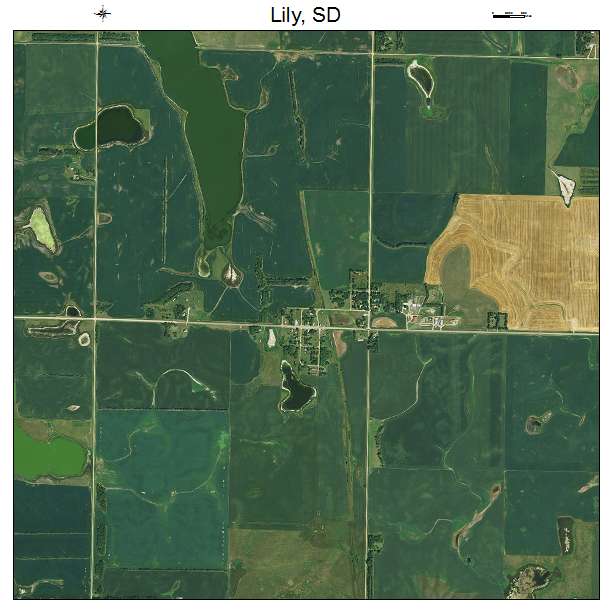 Lily, SD air photo map