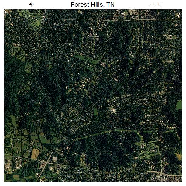Forest Hills, TN air photo map