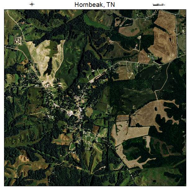 Hornbeak, TN air photo map