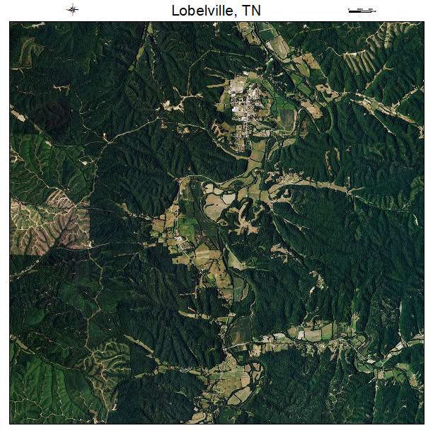 Lobelville, TN air photo map