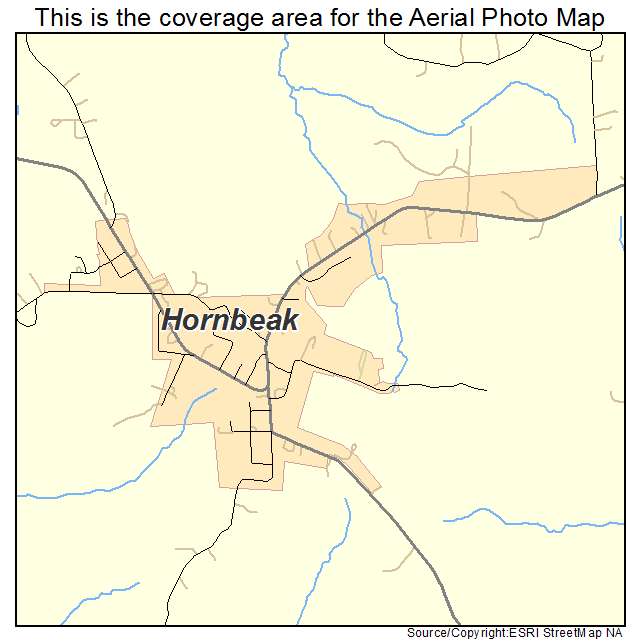 Hornbeak, TN location map 