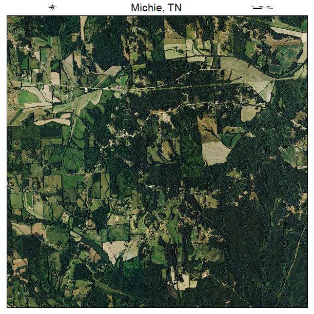 Michie, TN air photo map