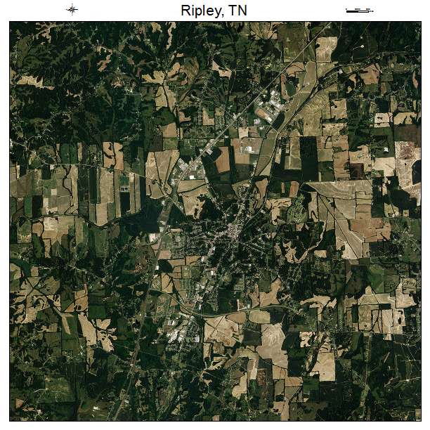 Ripley, TN air photo map