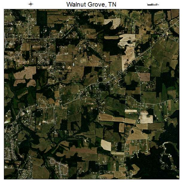 Walnut Grove, TN air photo map