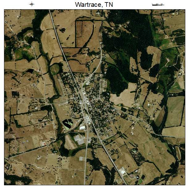 Wartrace, TN air photo map