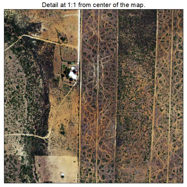 Las Lomitas, Texas aerial imagery detail