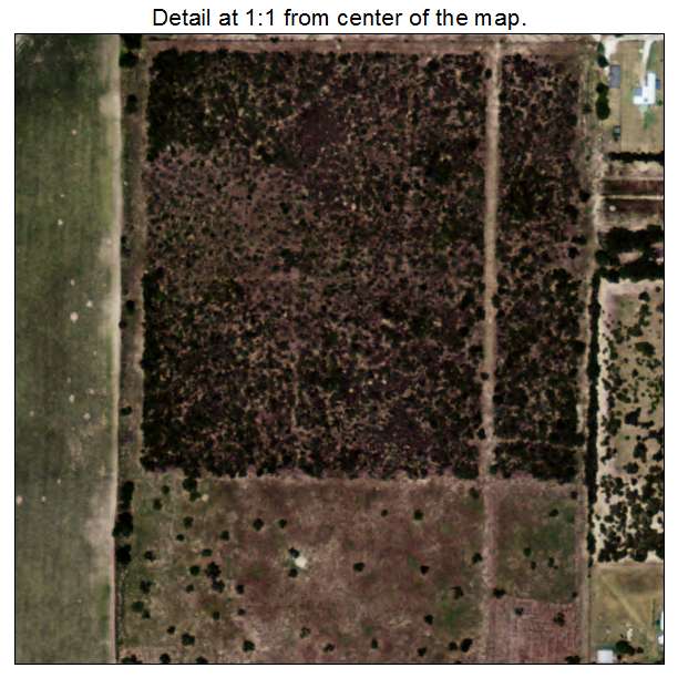 Rancho Alegre, Texas aerial imagery detail