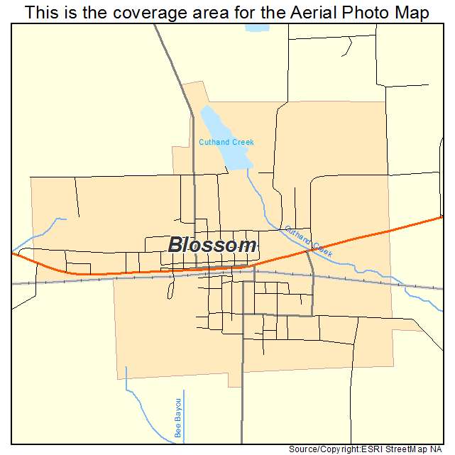 Blossom, TX location map 