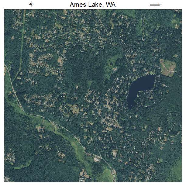 Ames Lake, WA air photo map